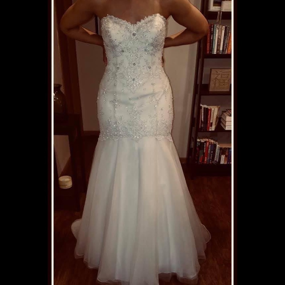 Stella York Wedding Dress (Champagne)